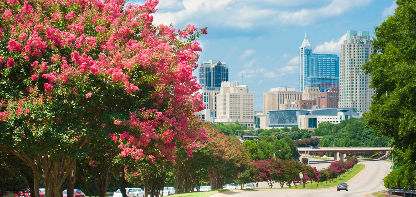 Skyline of Raleigh, NC.