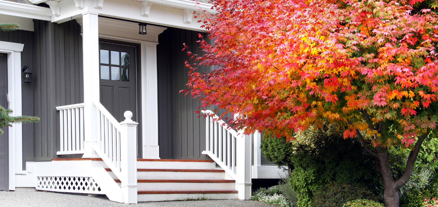 Photo of a front porch and tree with fall leaves.
